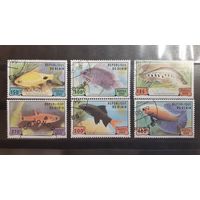 Бенин. 1999 год. Фауна. Рыбы (41)