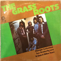 The Grass Roots – Best Of The Grass Roots, LP 1978