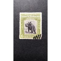 Великобритания. Северное Борнео\398с\ 1909 фауна носорог. Зуб.14