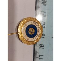 Значок гандбол Швеция