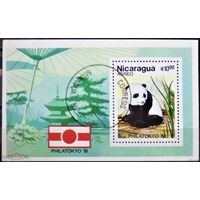 Никарагуа 1981 Филателистическая выставка в Токио, Япония. Панда. Блок.
