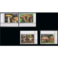 Гайана. 1991 г. Флора. Грибы  MNH
