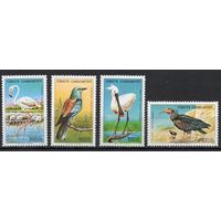 Турция 1976. Птицы 2407-10