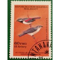 Мадагаскар 1986. Фауна. Птицы. Марка из серии