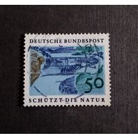 Марка Германия 1969 год Защитить природу