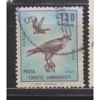 Фауна птицы Турция 1967 год лот 13