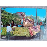 Этнография. Ливан, Бикфайя. Праздник цветов