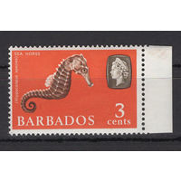 Барбадос 1965** Морской конек SG#324