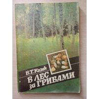 В ЛЕС ЗА ГРИБАМИ