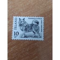 Марка Исландии, собака.