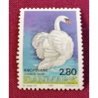 Дания 1986