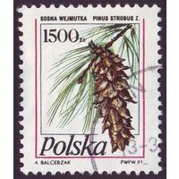 Сосны Польша 1991 год 1 марка