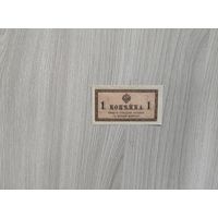 1 копейка без даты(1915год).