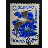 1976 СССР. Водоплавающие птицы. Морской голубок