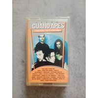 Аудио кассета Guano Apes