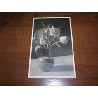 Цветы Букет Фотооткрытка Германия 1930-е "Реальное фото" чистая
