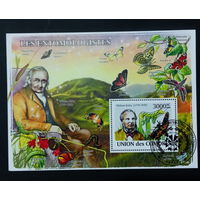 ФАУНА БАБОЧКИ НАСЕКОМЫЕ ЦВЕТЫ    БЛОК  сто