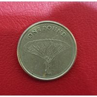 Гибралтар 1 фунт 2016 Драконово дерево