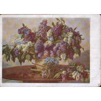 Подписанная открытка 1961г. "Букет сирени" худ. М. Копейкин