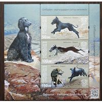 2016 Охотничьи собаки - Тайган Кыргызстан