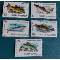 Румыния 1992 Рыбы с 1 копейки!