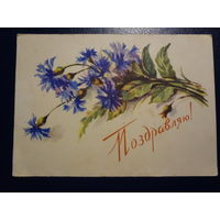Поздравляю!  Васильки.  1958 г.  подписанная.