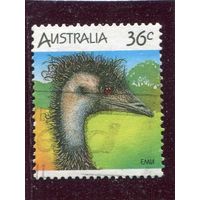 Австралия. Фауна