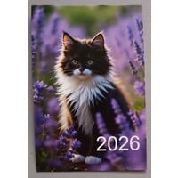 Кот. Календарик, 2026