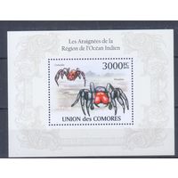 [339] Коморы 2010. Фауна.Пауки. БЛОК MNH.