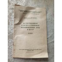 Естественное и искусственное возобновление дуба в БССР\17д