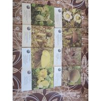 Календарик,красная книга Латвии,1986