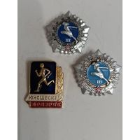 3 значка,юношеский разряд,гто