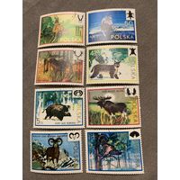 Польша 1973. Дикие животные. Полная серия