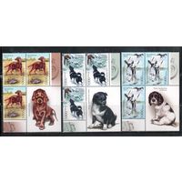 Беларусь-2010,(Мих.837-839)  **  , Собаки, с куп.