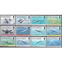 Южная Георгия. 1994. Морская фауна. Дельфины. Киты