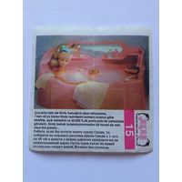 Вкладыш от жвачки Sindy Akas Синди номер 15