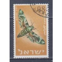 [1840] Израиль 1965. Фауна.Бабочка. Гашеная марка.