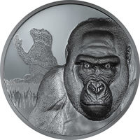 Камерун 2000 франков 2024г. "Горилла – Взросление". BLACK PROOF Монета в капсуле; подарочном футляре; номерной сертификат; коробка. СЕРЕБРО 62,20гр.(2 oz).