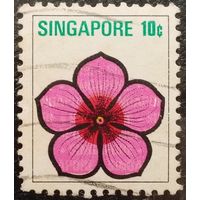 Сингапур. Флора. Цветы