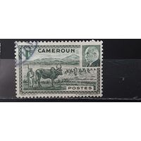 РАСПРОДАЖА КАМЕРУН 1941г. Гаш.