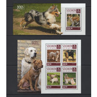 Соломоновы Острова 2014** Домашние животные Собаки