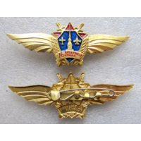 Знак ВВС 76-я Воздушная армия