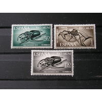 Рио Муни 1965 Насекомые