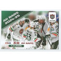 Команда 2024-25 / Коллекция "Ак Барс Казань 2025-206"