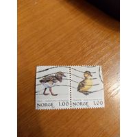 1980 Норвегия сцепка из буклета фауна птицы птенчик (3-9)