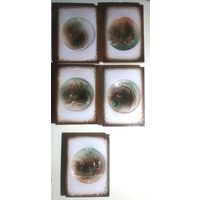 Изразцы для камина ''Беловежская Пуща''