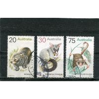 Австралия. Фауна