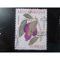 Мозамбик, 1998. Гвинейская ягода