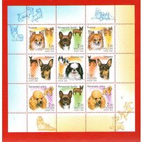 Россия.2000, 20 июля. Фауна. Декоративные породы собак.МЛ**.