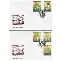 1998 КПД Беларусь Грибы Флора СГ Минск